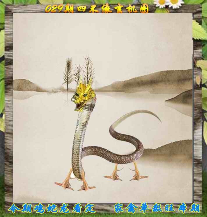 029期四不像特别版[图]
